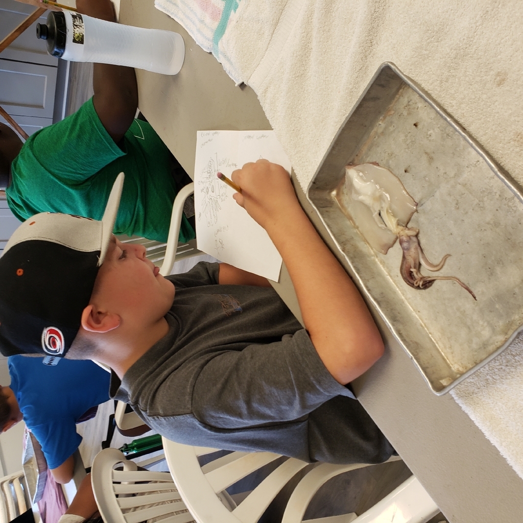 Mason in squid dissection class